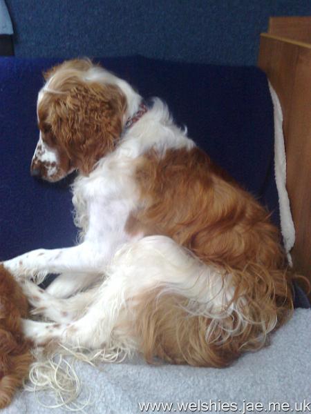 2010-09-05 05.jpg
